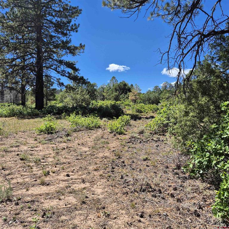 1620 Wildcat Canyon Road Montrose CO 81403