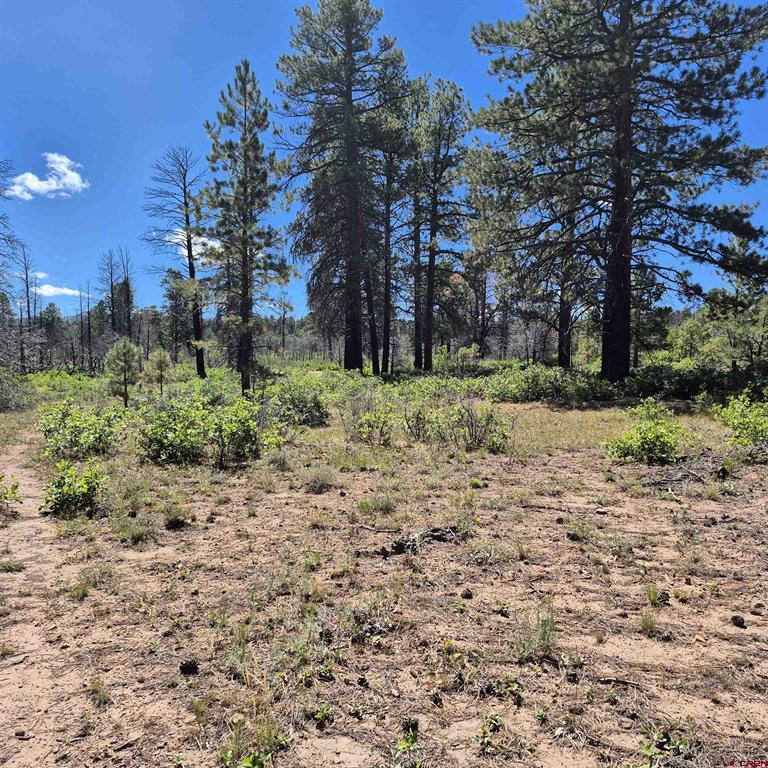 1620 Wildcat Canyon Road Montrose CO 81403