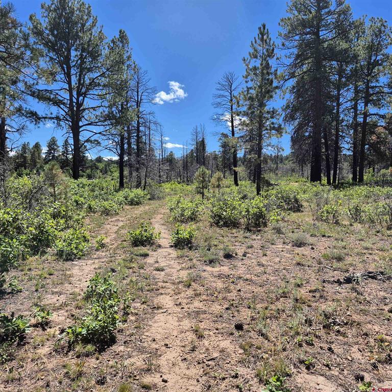 1620 Wildcat Canyon Road Montrose CO 81403