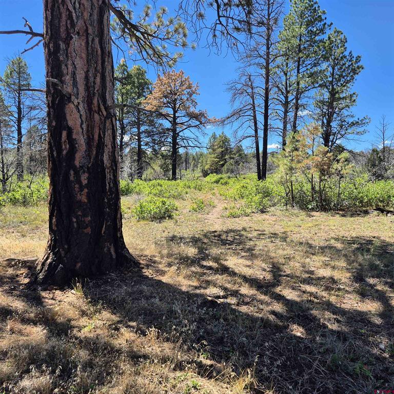 1620 Wildcat Canyon Road Montrose CO 81403