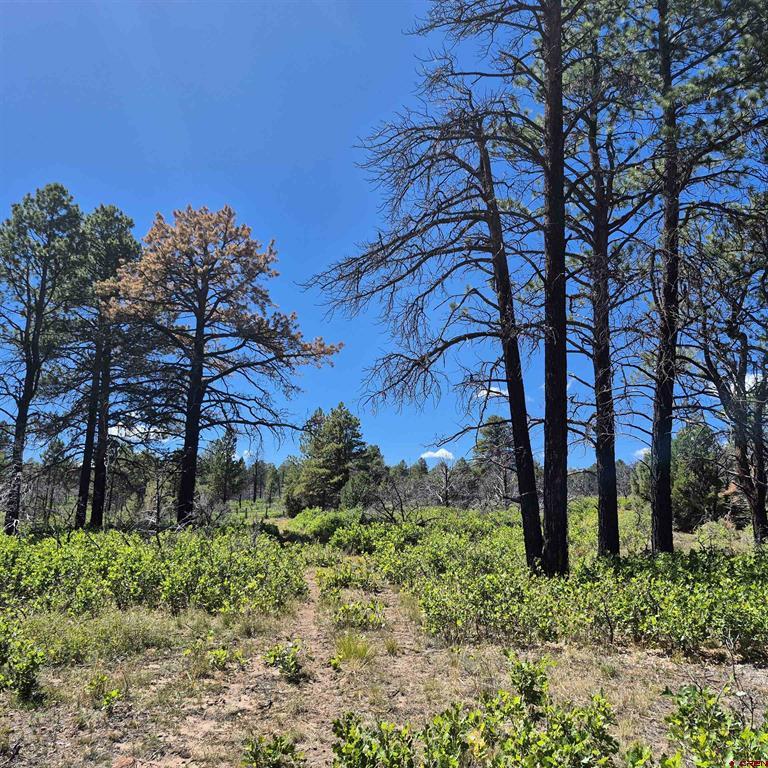 1620 Wildcat Canyon Road Montrose CO 81403