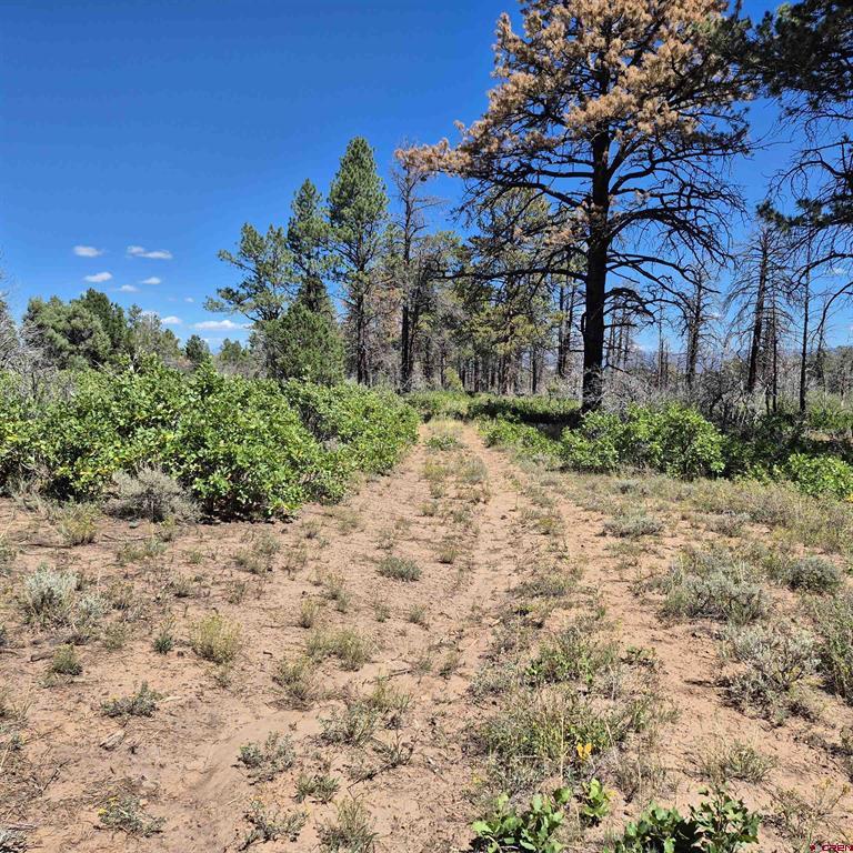 1620 Wildcat Canyon Road Montrose CO 81403
