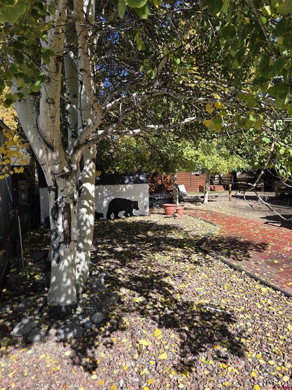 83 Tre Drive South Fork CO 81154