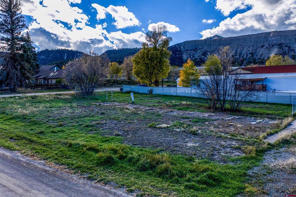 Tbd Clinton Street Ridgway CO 81432