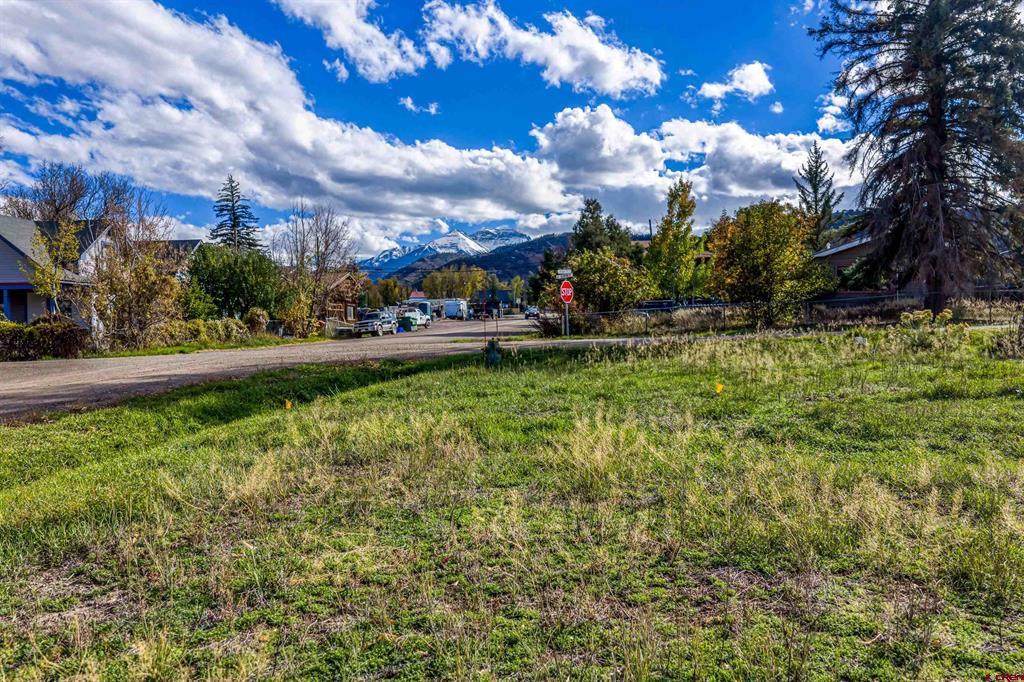 Tbd Clinton Street Ridgway CO 81432