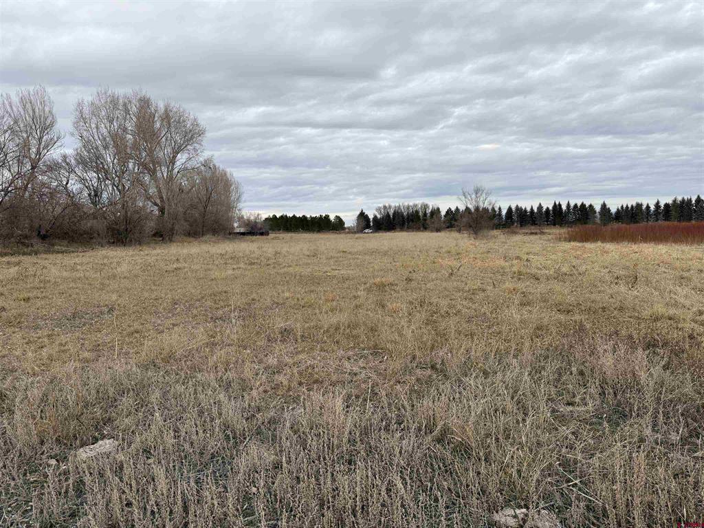 Tbd Riverside Road Montrose CO 81401