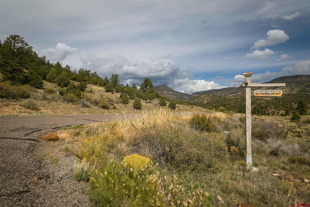 963 Bear Creek Circle South Fork CO 81154