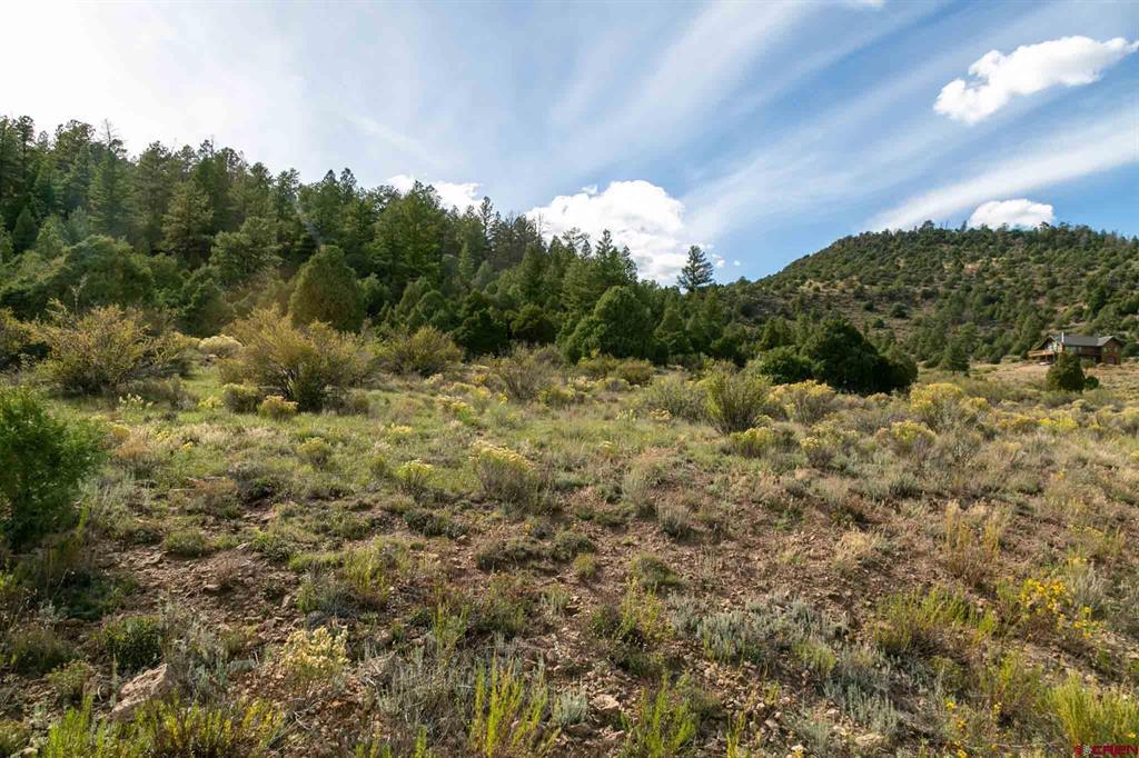 963 Bear Creek Circle South Fork CO 81154