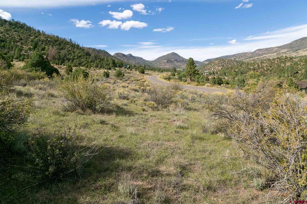 963 Bear Creek Circle South Fork CO 81154