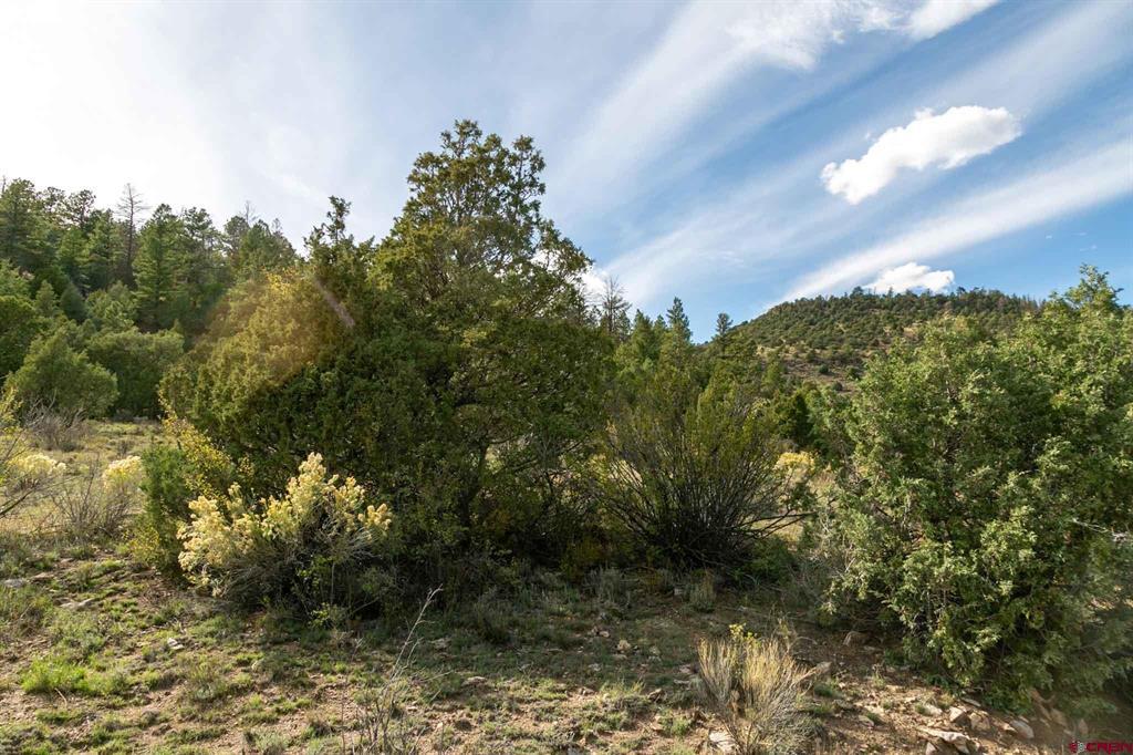 963 Bear Creek Circle South Fork CO 81154