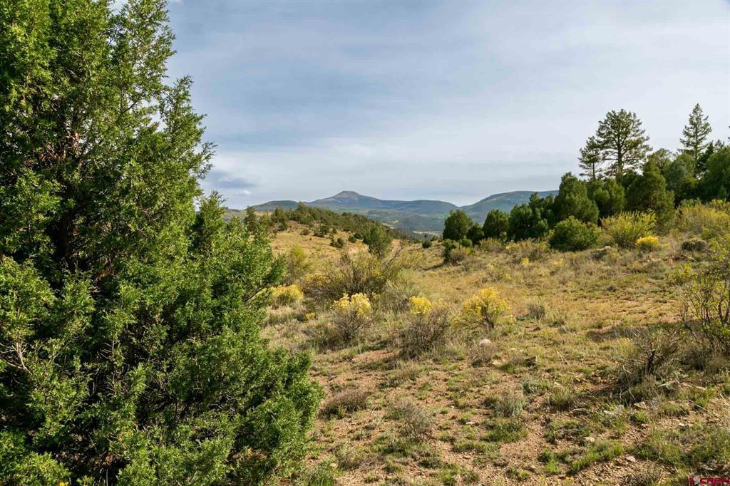 963 Bear Creek Circle South Fork CO 81154
