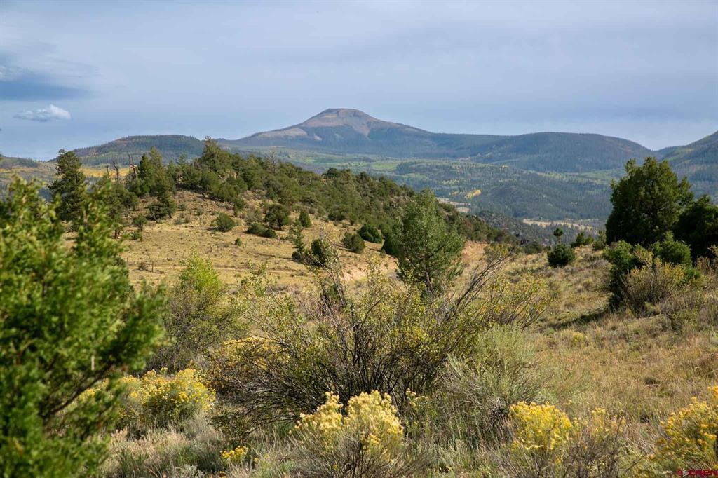 963 Bear Creek Circle South Fork CO 81154
