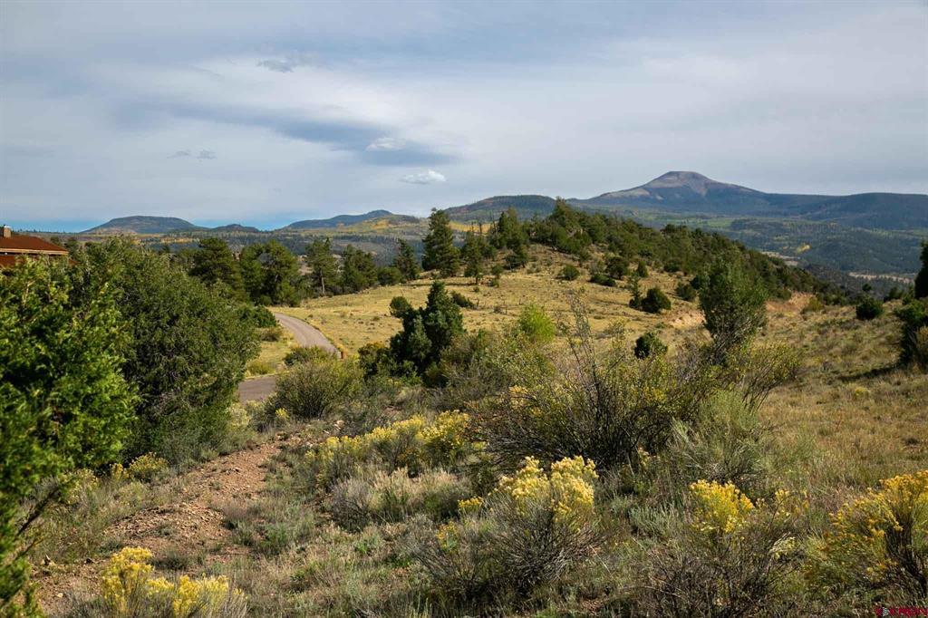 963 Bear Creek Circle South Fork CO 81154
