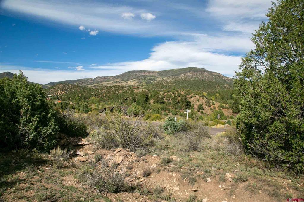 963 Bear Creek Circle South Fork CO 81154