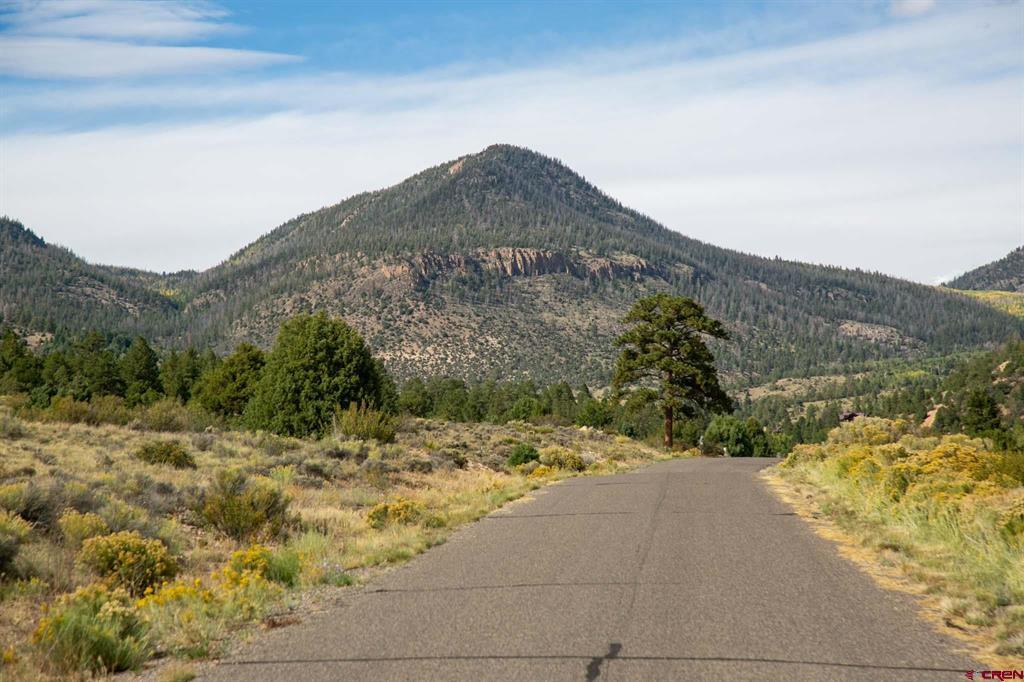 963 Bear Creek Circle South Fork CO 81154