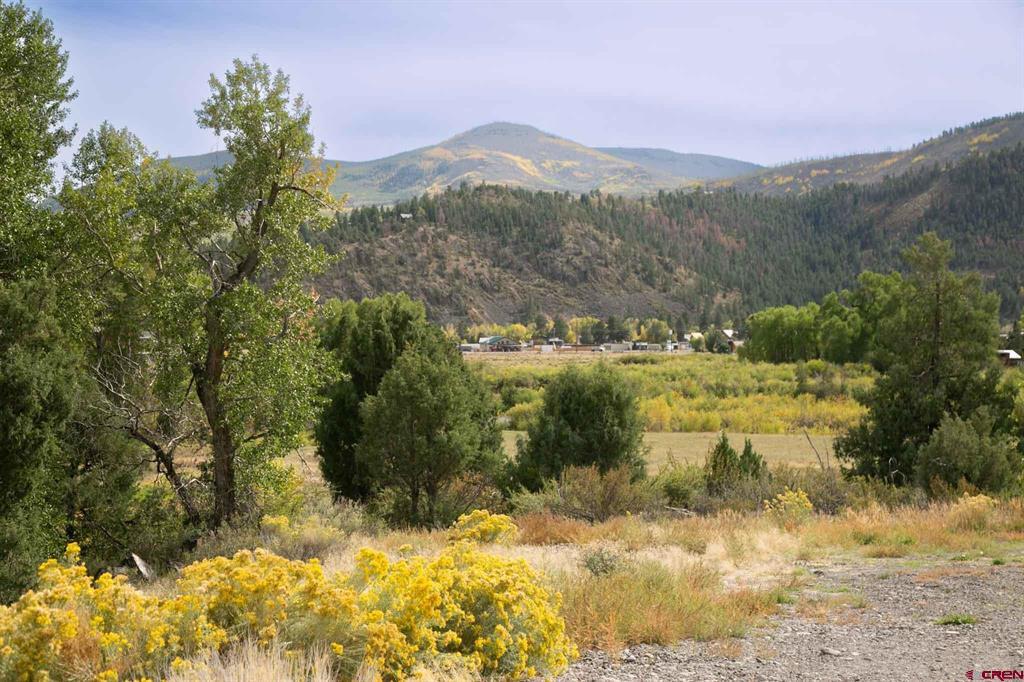963 Bear Creek Circle South Fork CO 81154