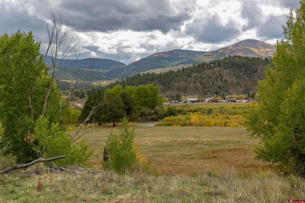 963 Bear Creek Circle South Fork CO 81154