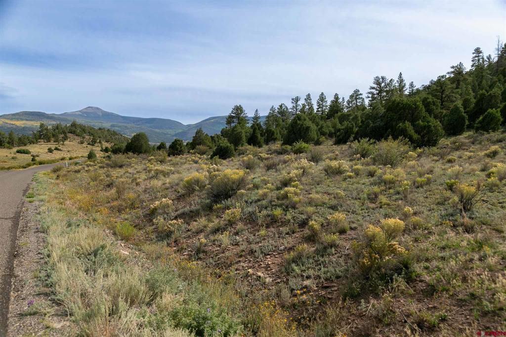 963 Bear Creek Circle South Fork CO 81154