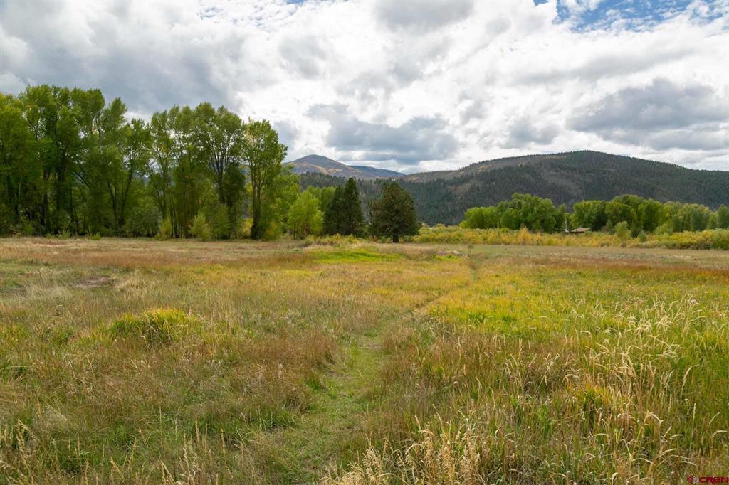 963 Bear Creek Circle South Fork CO 81154