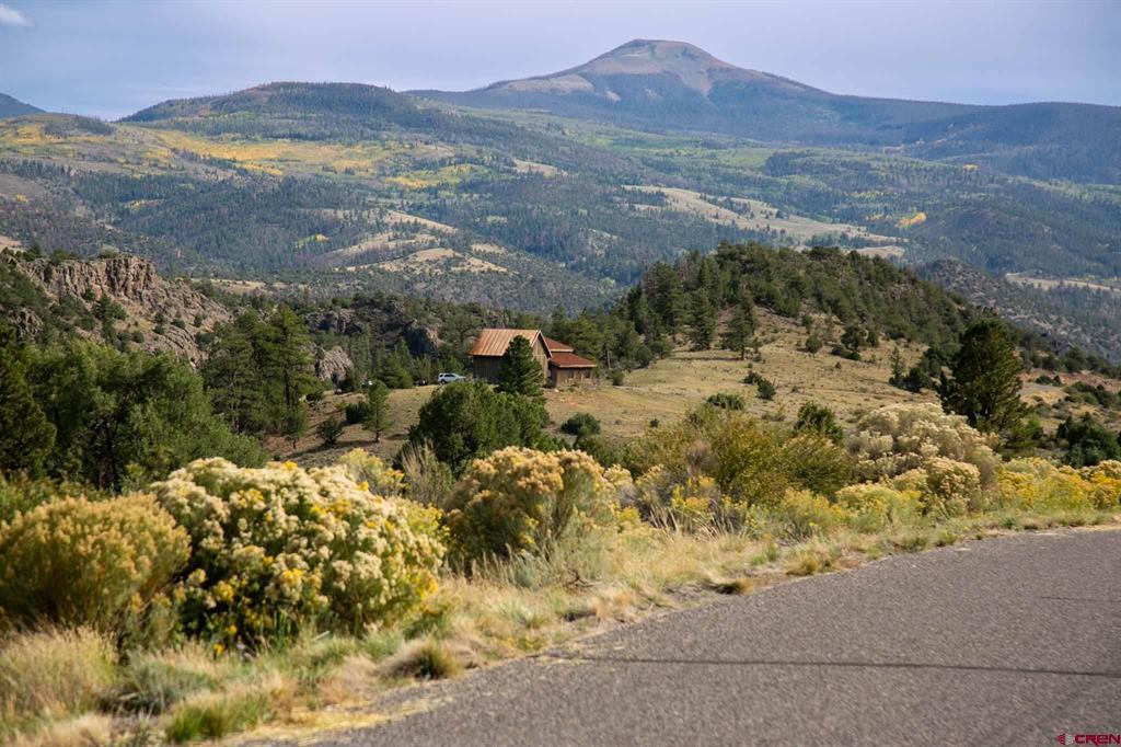 963 Bear Creek Circle South Fork CO 81154
