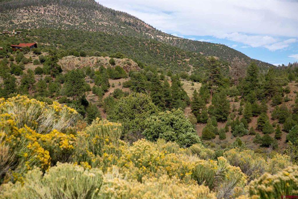 963 Bear Creek Circle South Fork CO 81154