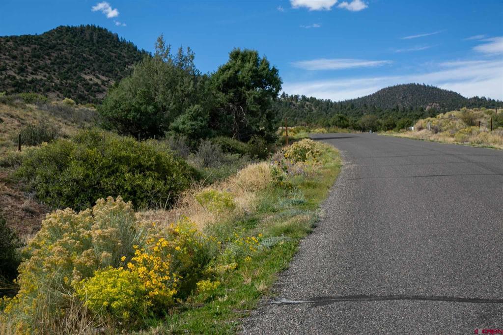 963 Bear Creek Circle South Fork CO 81154