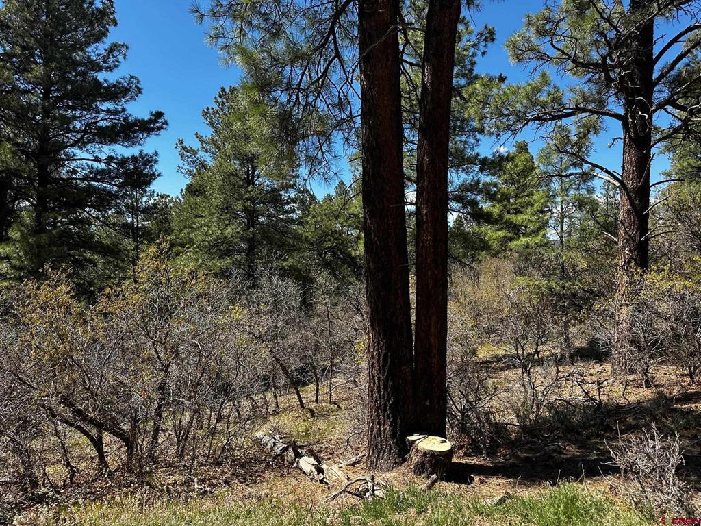 523 Oakridge Drive Pagosa Springs CO 81147