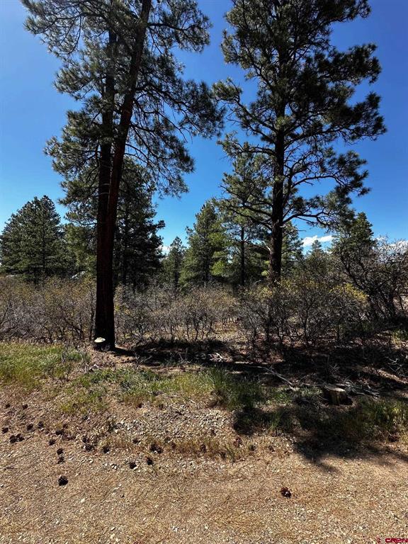 523 Oakridge Drive Pagosa Springs CO 81147