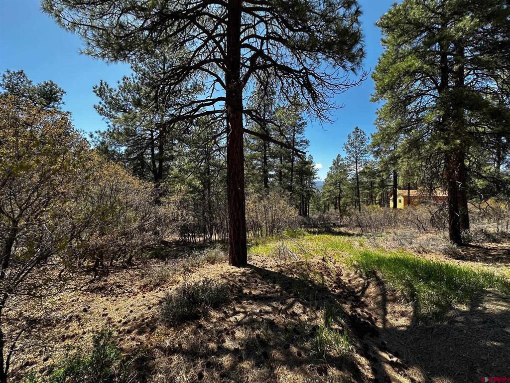 523 Oakridge Drive Pagosa Springs CO 81147