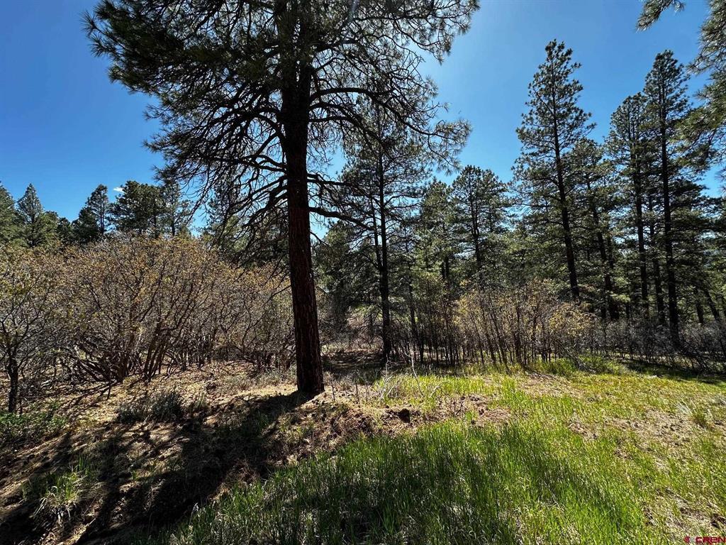 523 Oakridge Drive Pagosa Springs CO 81147