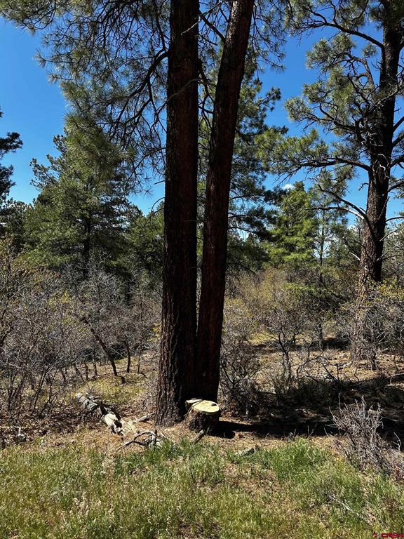 523 Oakridge Drive Pagosa Springs CO 81147