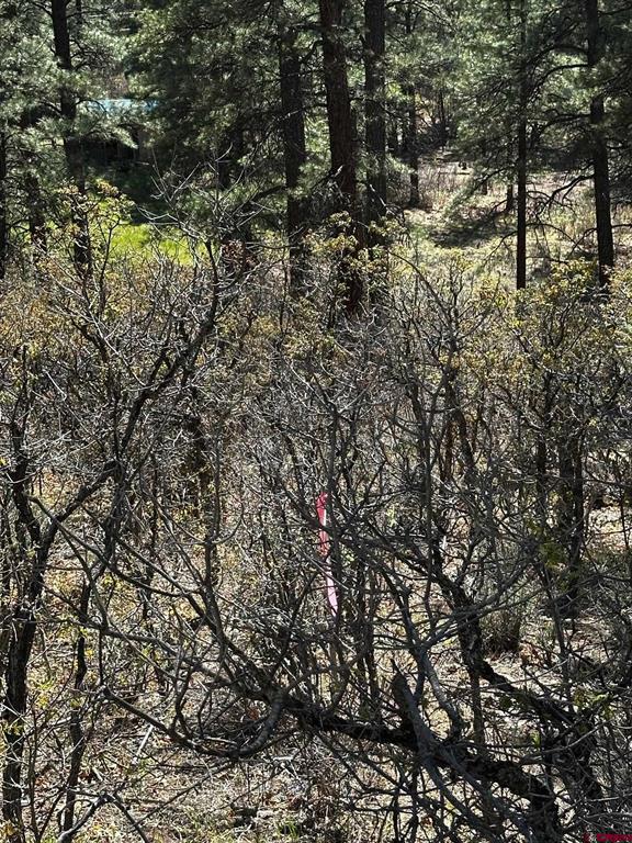 523 Oakridge Drive Pagosa Springs CO 81147