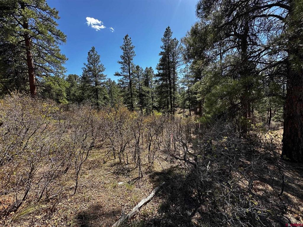 523 Oakridge Drive Pagosa Springs CO 81147