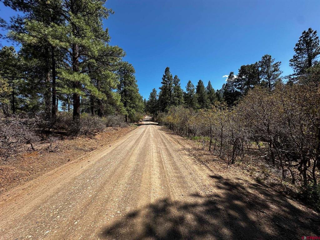 523 Oakridge Drive Pagosa Springs CO 81147