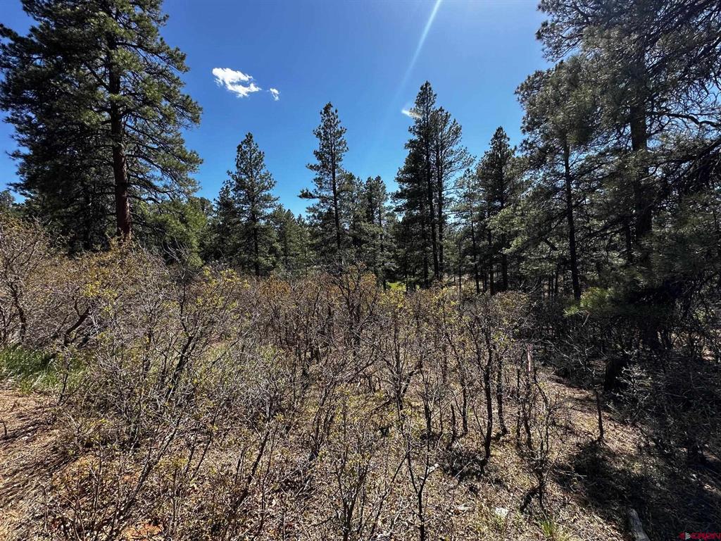 523 Oakridge Drive Pagosa Springs CO 81147