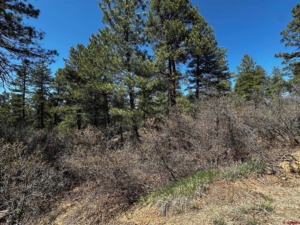 523 Oakridge Drive Pagosa Springs CO 81147