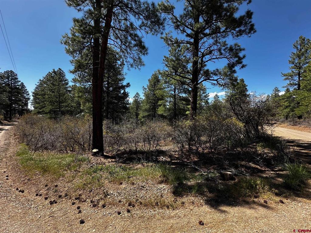 523 Oakridge Drive Pagosa Springs CO 81147