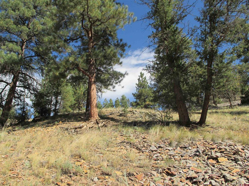 1400 Slumgullion Road Lake City CO 81235