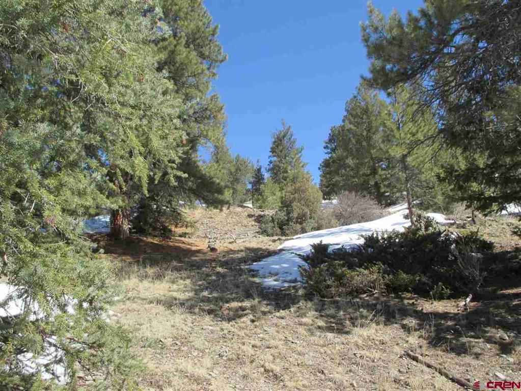 1400 Slumgullion Road Lake City CO 81235