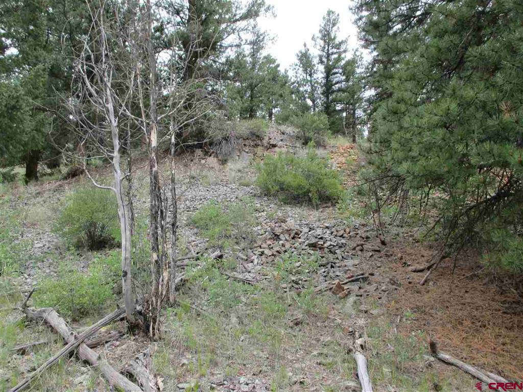 1400 Slumgullion Road Lake City CO 81235