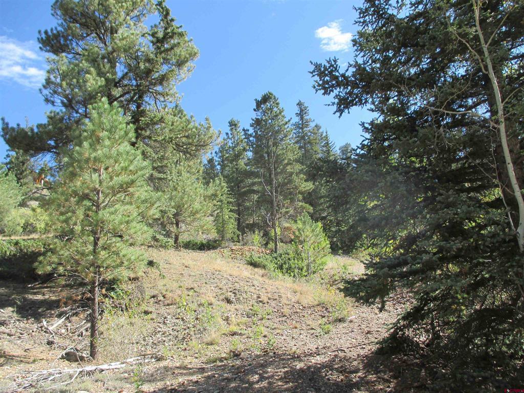 1400 Slumgullion Road Lake City CO 81235