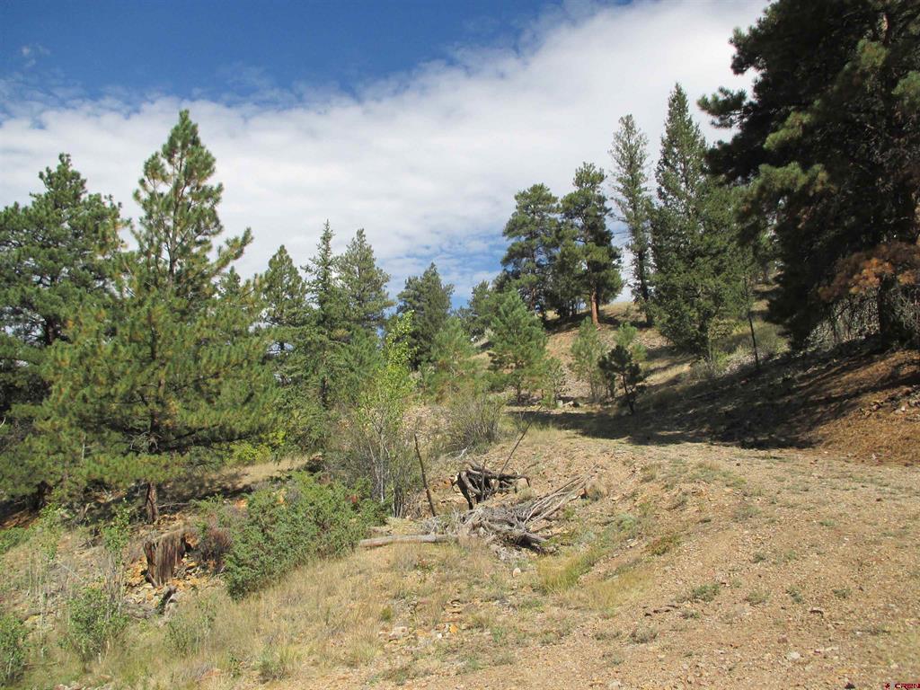 1400 Slumgullion Road Lake City CO 81235