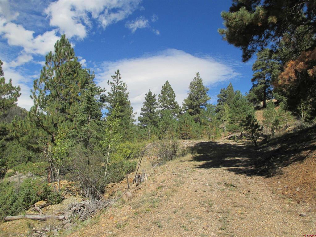 1400 Slumgullion Road Lake City CO 81235