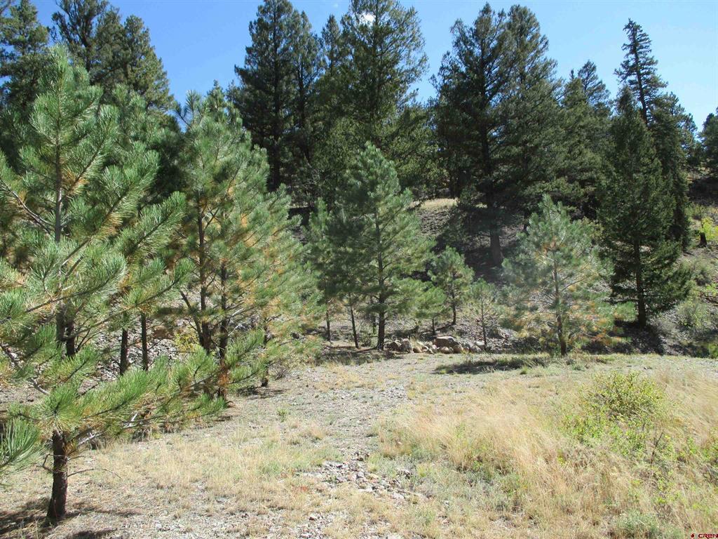 1400 Slumgullion Road Lake City CO 81235