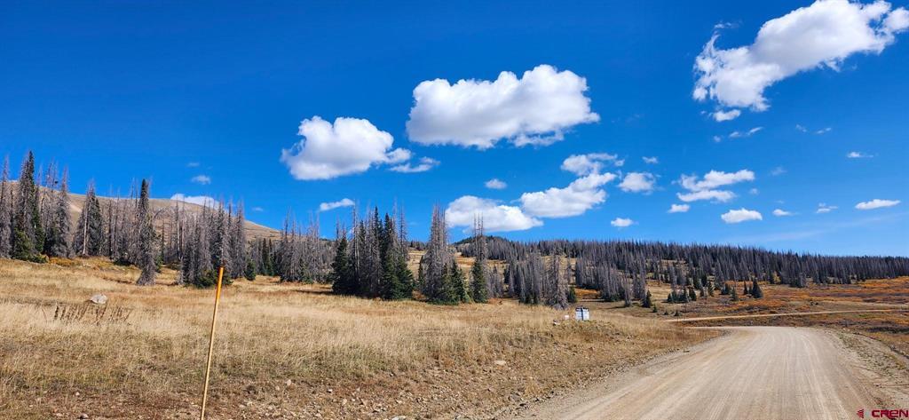 Tbd Forest Service Road 330 South Fork CO 81154