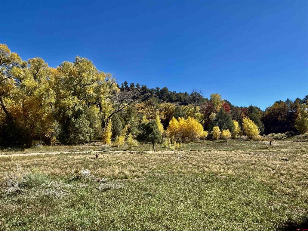 769 & 784 Bareback Lane Durango CO 81303