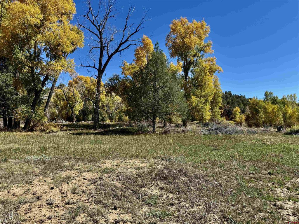 769 & 784 Bareback Lane Durango CO 81303