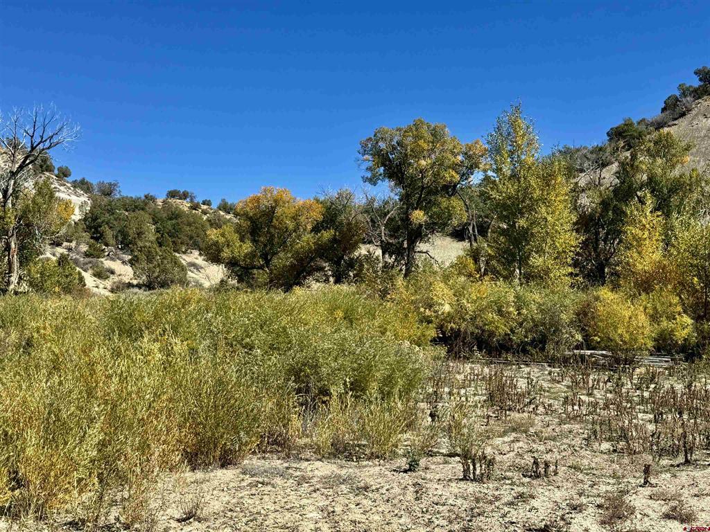 769 & 784 Bareback Lane Durango CO 81303