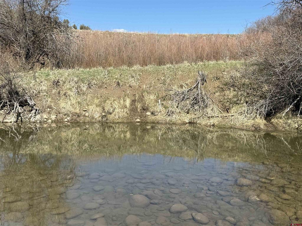 769 & 784 Bareback Lane Durango CO 81303