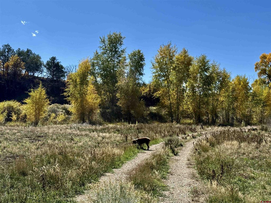 769 & 784 Bareback Lane Durango CO 81303